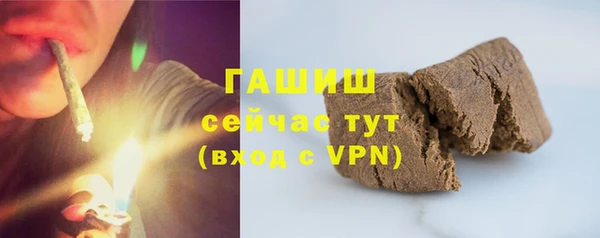 твердый Богданович